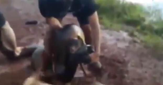Tres ciclistas salvan a un perro de ser comido por una anaconda de cuatro metros