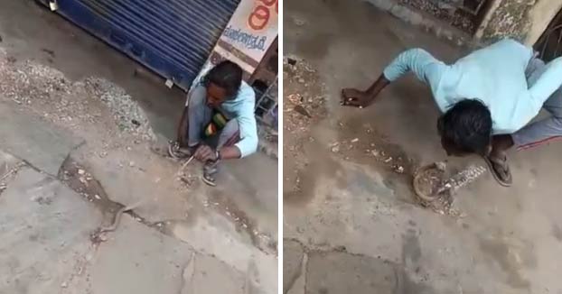 Ojo a cómo se le puso la cara a este hombre después de que le mordiese una cobra en los labios al intentar besarla