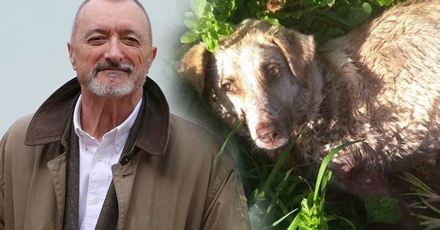 Pérez-Reverte se hace una pregunta sobre el cazador que tiroteó a su perra en Chantada