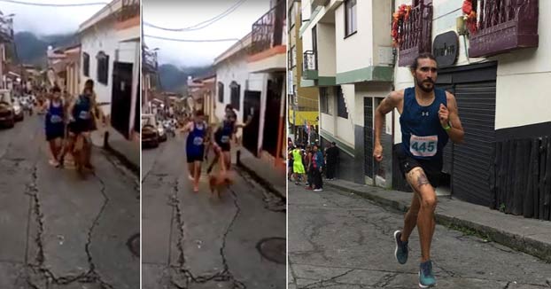 Despiden a un atleta por pegar una patada a un perro durante una carrera. Este fue el momento