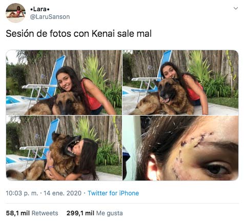 Esta chica se estaba haciendo una sesión de fotos con un perro y terminó mal: Recibió más de 20 puntos en la cara