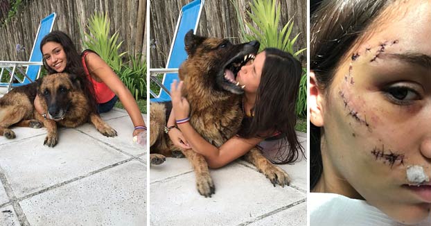 Esta chica se estaba haciendo una sesión de fotos con un perro y terminó mal: Recibió más de 20 puntos en la cara