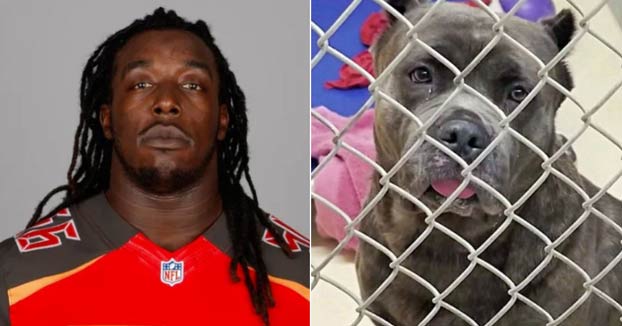 Un jugador de la NFL abandona a su perra tras enterarse que iba a ser padre: ''Ya no eres necesaria''