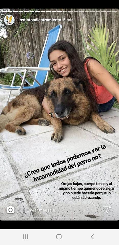 Una adiestradora explica el caso del perro que mordió a una chica en la cara durante una sesión de fotos