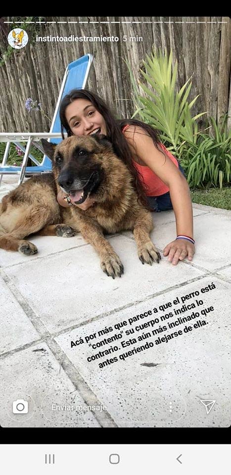 Una adiestradora explica el caso del perro que mordió a una chica en la cara durante una sesión de fotos