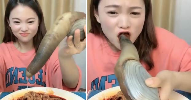 Panopea generosa, una 'almeja pene gigante' que es una delicatessen en toda Asia