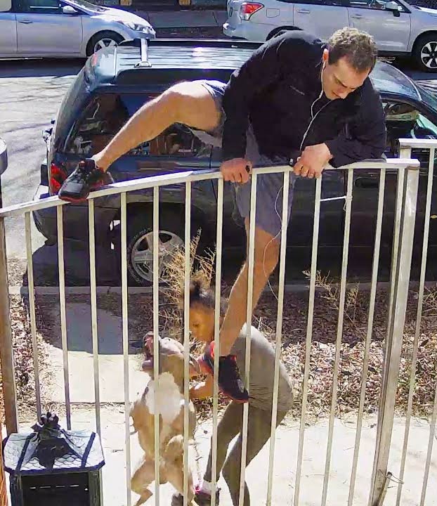 Una mujer no da controlado a su perro, se quita el bozal y ataca a un hombre que iba corriendo