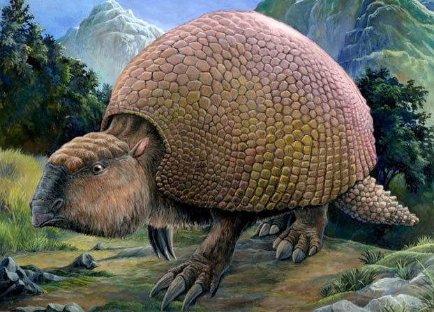 Encuentran en Argentina fósiles de armadillos gigantes