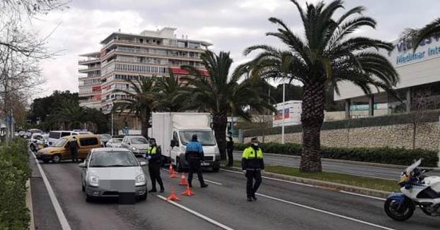 Multan a varias personas en Alicante por turnarse un mismo perro para pasear