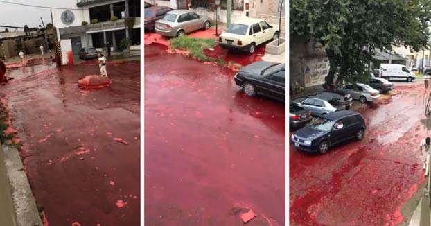 Un barrio argentino es inundado de unos 500.000 litros de sangre animal tras reventarse un tanque de un matadero