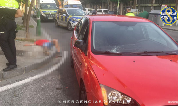 Atropellado tras robar a una mujer en la avenida Hytasa de Sevilla