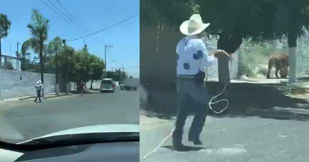 Un hombre con una silla plegable y un vaquero con un lazo intentan atrapar a un tigre suelto en una calle de México