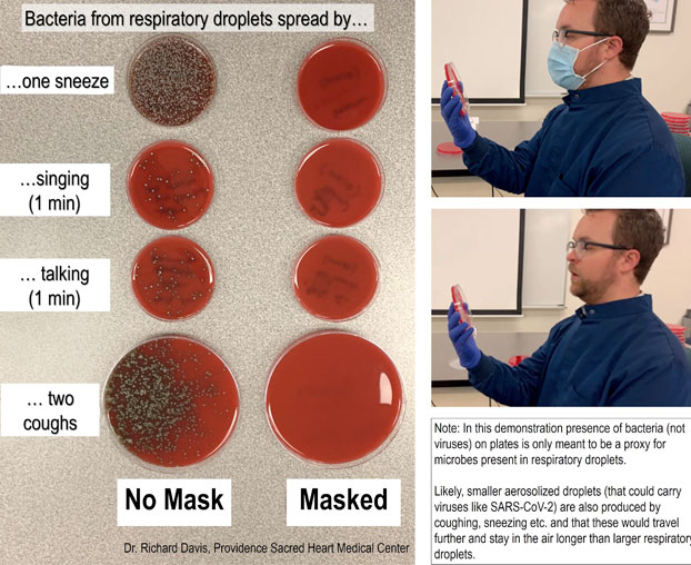 Este sencillo experimento demuestra la importancia de las mascarillas para frenar al coronavirus