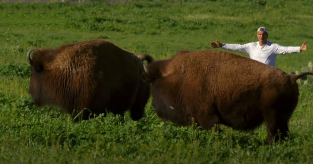 Frank Cuesta viaja a la Isla de Santa Catalina, una isla a 35 km de Los Ángeles donde viven bisontes americanos en libertad