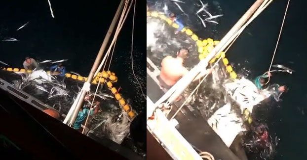 Unos pescadores liberan 30 mantas raya atrapadas en la red de arrastre en Tailandia