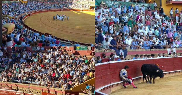 Las imágenes de la corrida de toros de Huelva que incendian las redes: ¿Y la distancia social?