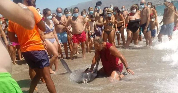 Vídeo del hamaquero capturando al pez luna en una playa de Roquetas de Mar y colocándose encima de él