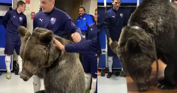 Un equipo de fútbol ruso ha recibido innumerables críticas después de meter a un oso en el vestuario