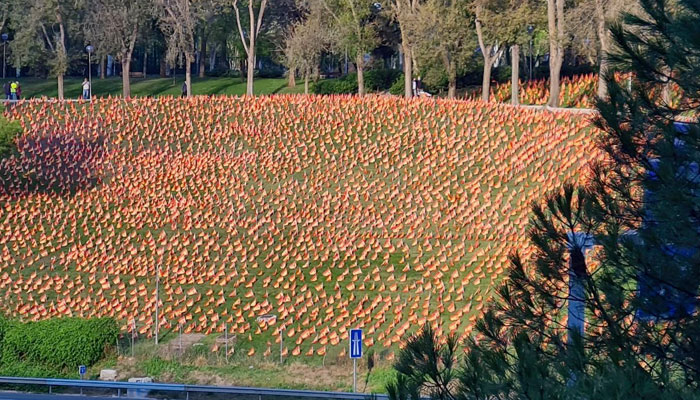 50 voluntarios han colocado 53.000 banderas de España en el parque Roma de Madrid, frente a la M-30