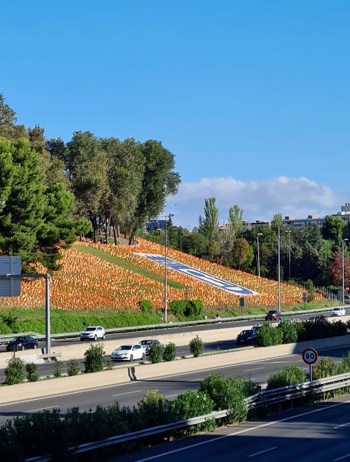 50 voluntarios han colocado 50.000 banderas de España en el parque Roma de Madrid, frente a la M-30