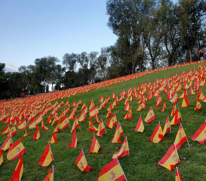 50 voluntarios han colocado 50.000 banderas de España en el parque Roma de Madrid, frente a la M-30