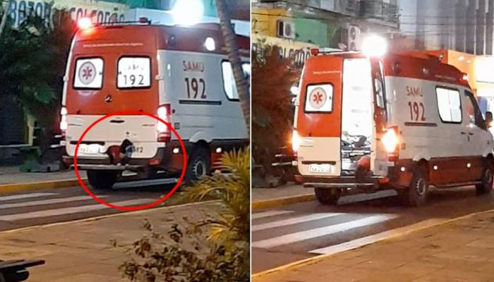 Una perrita se sube al parachoques de una ambulancia para acompañar a su dueño al hospital