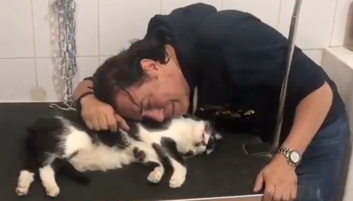 Pipi Estrada se despide en un vídeo entre lágrimas de su gato muerto 'Trapito'