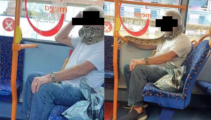 Un hombre lleva una serpiente en el cuello a modo de mascarilla mientras va en el autobús