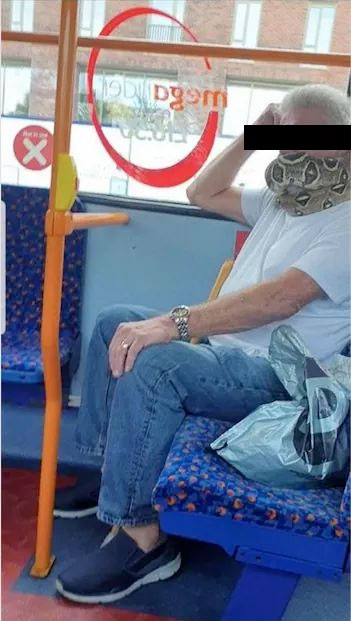 Un hombre lleva una serpiente en el cuello a modo de mascarilla mientras va en el autobús