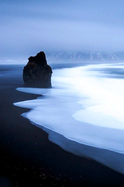 La arena negra y la niebla en las costas heladas de Islandia
