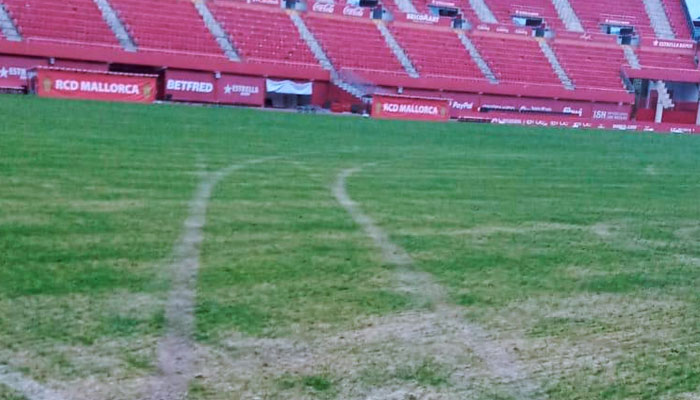 Varios detenidos por asaltar el estadio del Mallorca y derrapar en el césped con una furgoneta