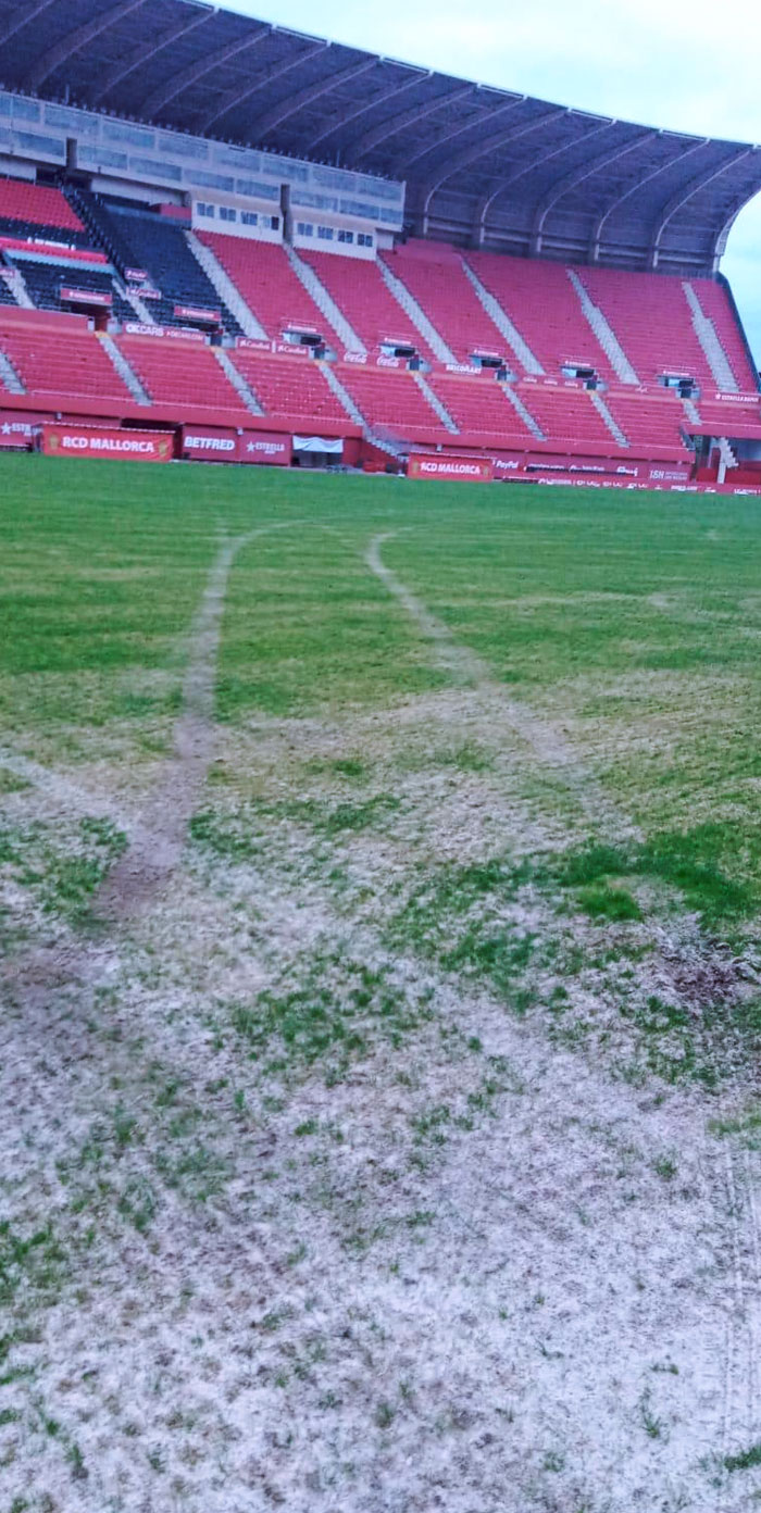 Varios detenidos por asaltar el estadio del Mallorca y derrapar en el césped con una furgoneta