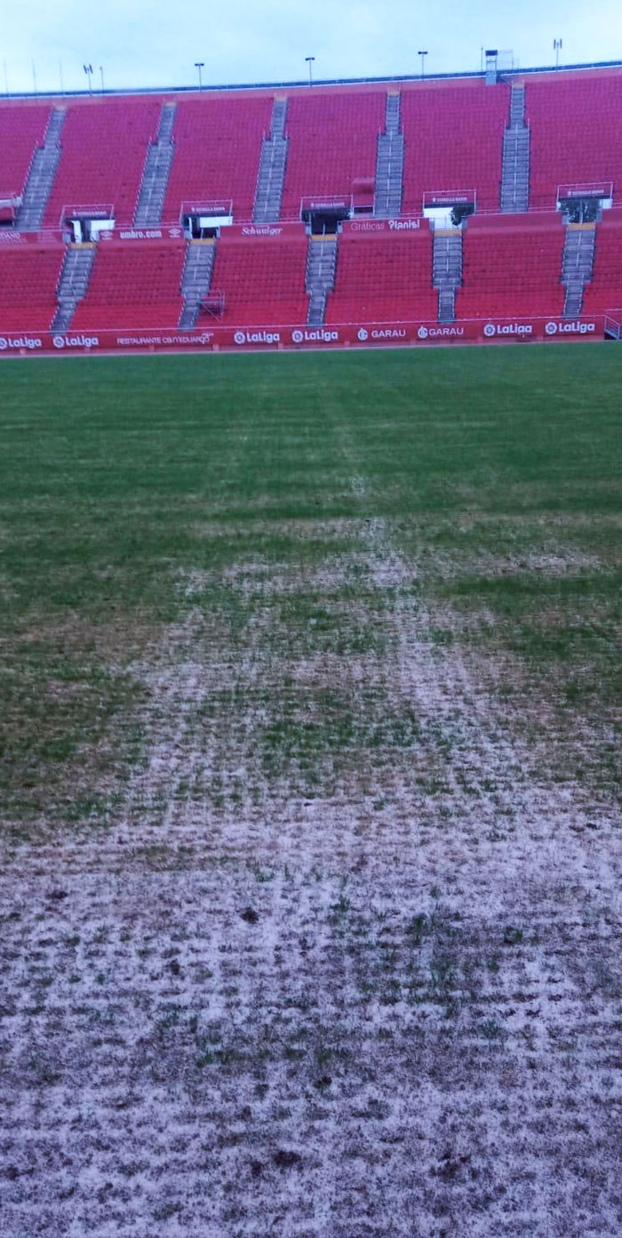 Varios detenidos por asaltar el estadio del Mallorca y derrapar en el césped con una furgoneta