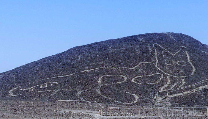 Un gato de 37 metros es el nuevo geoglifo descubierto en las líneas de Nazca