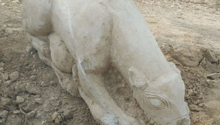 Un agricultor halla una leona íbera cuando araba un olivar en San Sebastián de los Ballesteros, Córdoba