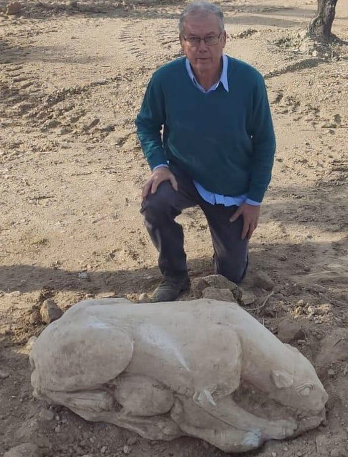 Un agricultor halla una leona íbera cuando araba un olivar en San Sebastián de los Ballesteros, Córdoba