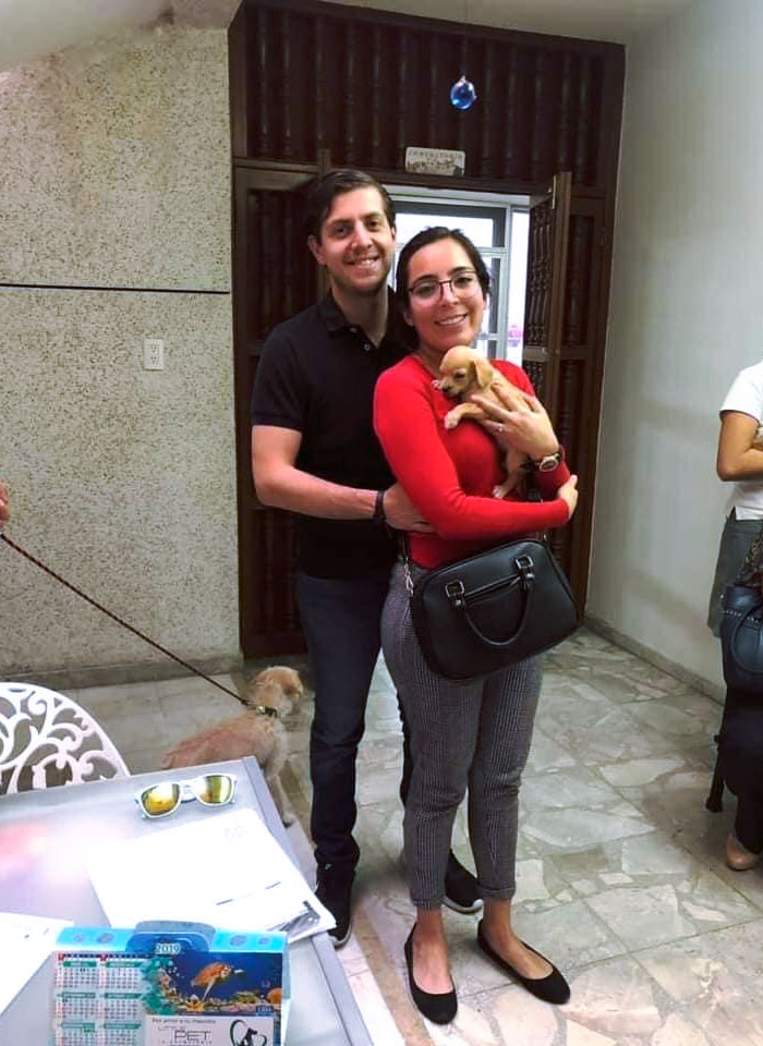 Acusan a una pareja de adoptar cachorros para alimentar a sus serpientes