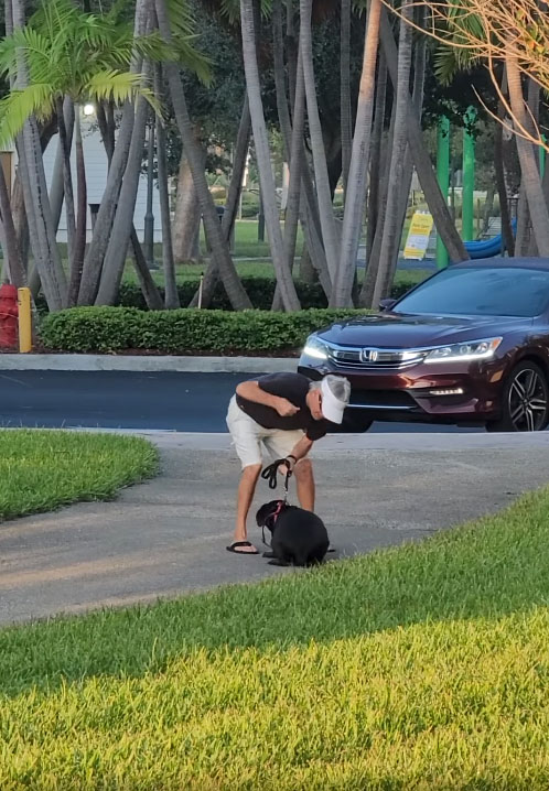 Le quitan el perro después de ser grabado golpeando al animal porque se había escapado de casa