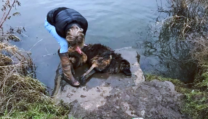 Una mujer intenta matar a su perra arrojándola a un río con una enorme piedra atada al cuello