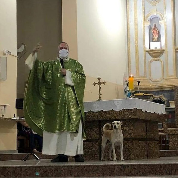 Un sacerdote promueve la adopción de animales abandonados llevando perros, gatos y demás fauna a sus misas