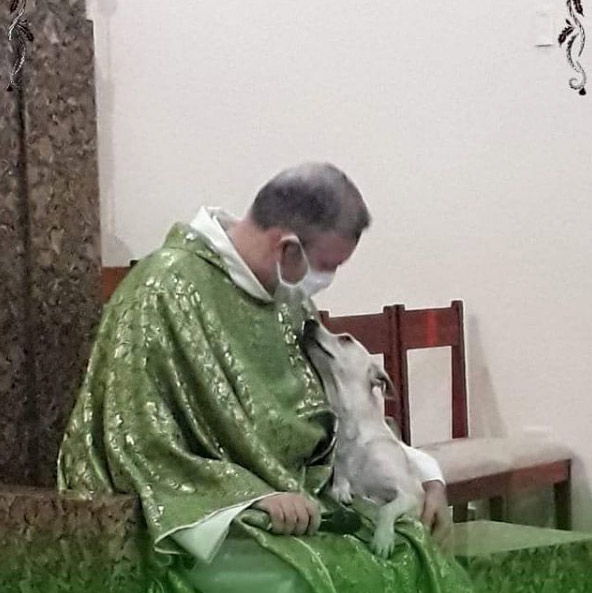 Un sacerdote promueve la adopción de animales abandonados llevando perros, gatos y demás fauna a sus misas