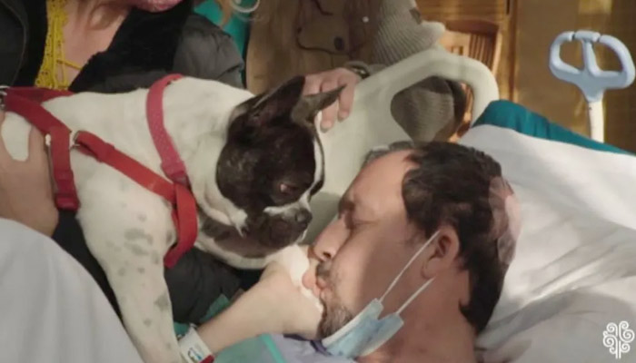 Un paciente ingresado en la UCI del Hospital de Torrevieja mejora tras la visita de su perra: ''Está siempre ahí''
