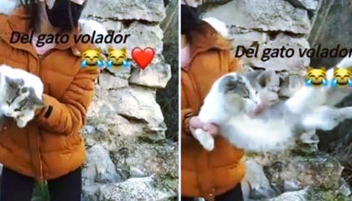 Una joven de Granada tira a un gato por un barranco y lo publica en Instagram con la canción ''El gato volador''