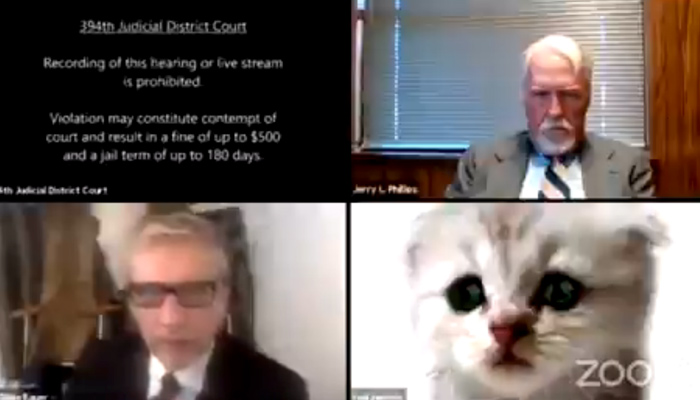 ''No soy un gato'': Un filtro juega una mala pasada a un abogado en un juicio online