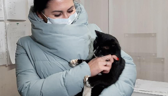 Un gato que estuvo a punto de ser triturado es nombrado viceministro regional en Rusia