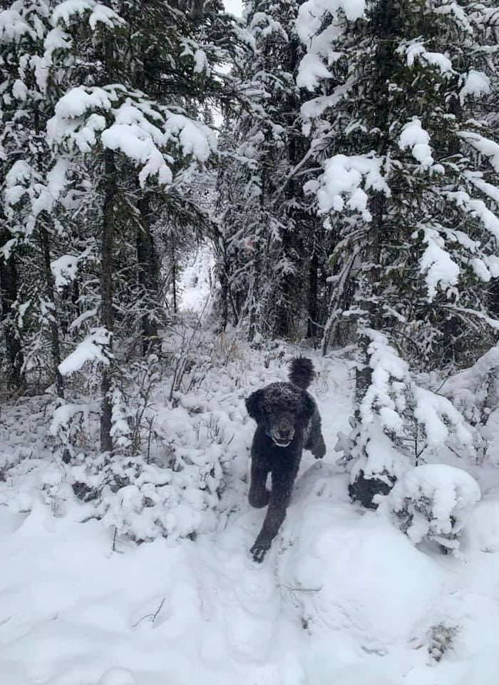 Curiosa ilusión óptica: Primero ves a un hombre corriendo hacia la nieve y luego...