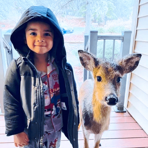 Un niño de cuatro años sale a pasear por el bosque y vuelve con un cervatillo