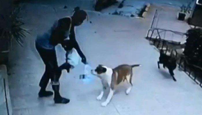  Una veterinaria salva a una niña de dos años del ataque de un perro en Murcia