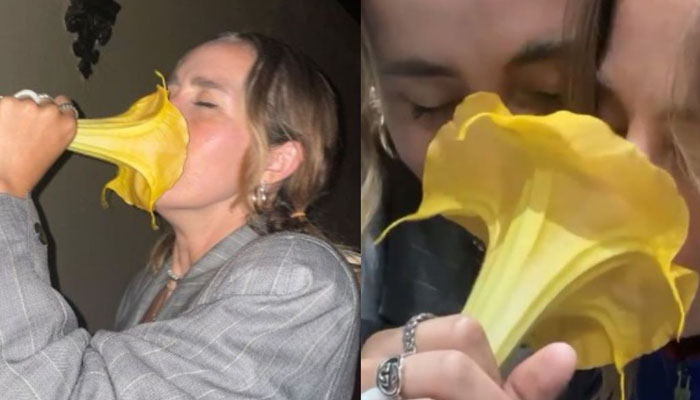 Una tiktoker inhala ''el delicioso olor'' de una flor que encontró en la calle y resulta ser una planta venenosa