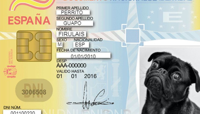 En 2022 será obligatorio que tu perro o gato tenga un DNI animal